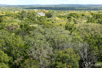 Calakmul, c’est aussi la plus grande réserve écologique tropicale du Mexique.