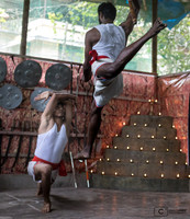 Thrippanithura kalari