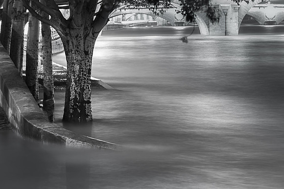 Seine en crue