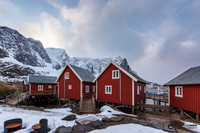 Reine