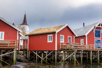 Reine