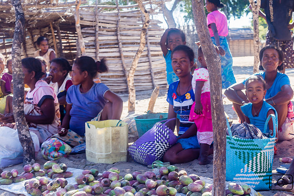 Ici beaucoup de figues de barbarie, à peu près les seuls fruits en cette saison