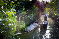 Pirogue de pêcheur