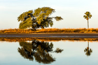 Reflets