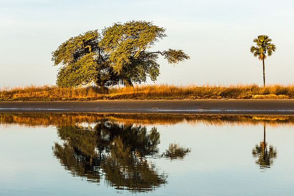 Reflets