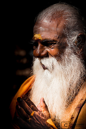 Brahmane
