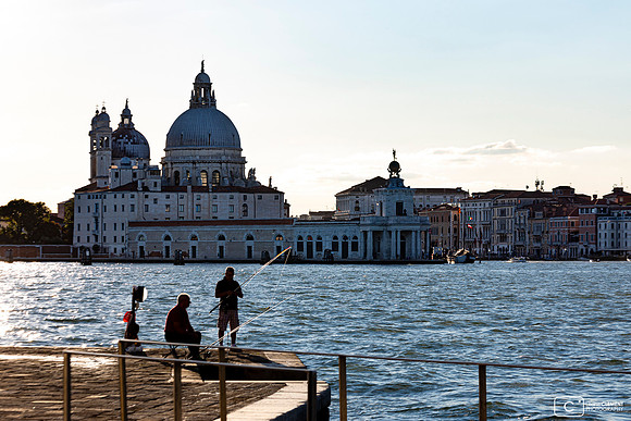 Punta della Dogana