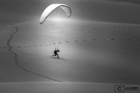 Le parapente est à l'honneur sur la plus haute dune d'Europe !
