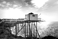 Du bassin d'Arcachon à la côte vendéenne