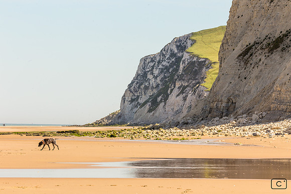 Cap Blanc-Nez