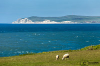 Cap Blanc-Nez vu du Cap Gris-Nez