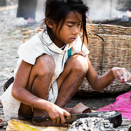 Petite fille préparant le poisson à Kompong Kleang