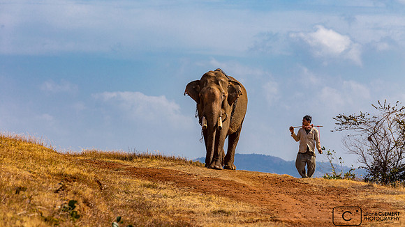 Cornac Bunong et son éléphant dans le Mondolkiri