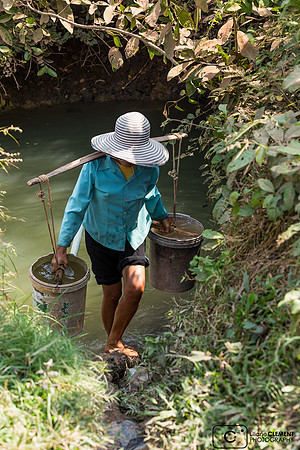 Les maraichers puisent l'eau d'une mare