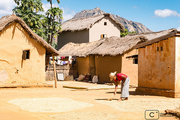 Séchage des grains à Fihasinana