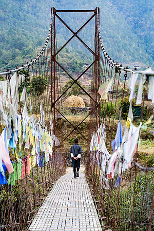 Drapeaux sur pont suspendu à Nyzergang, Punakha