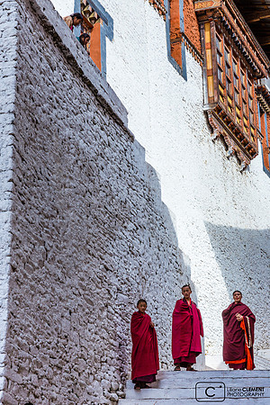 Trongsa : jeunes moines