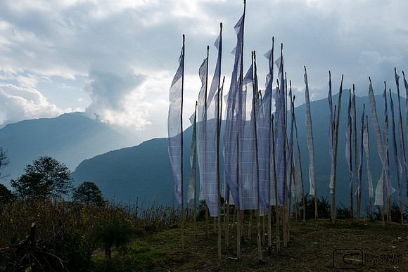 Drapeauc blancs au-dessus de l'école monastique des nonnes de Kuenga Rabten, vallée des tissages