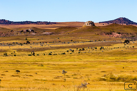 Paysage du Sud, Madagascar
