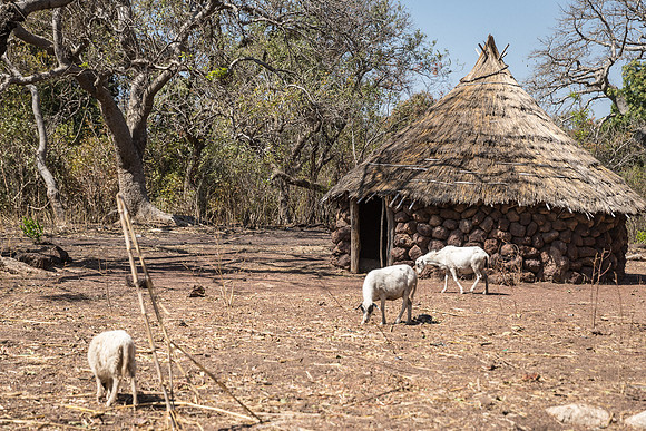 Village