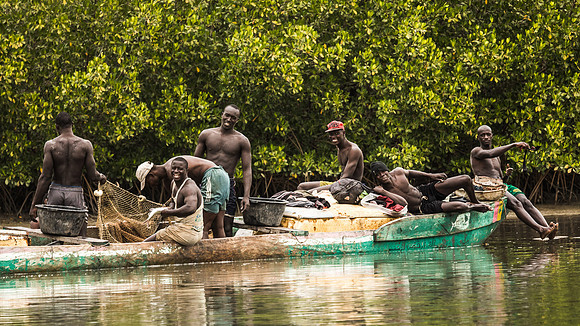 Pêcheurs triant le poisson