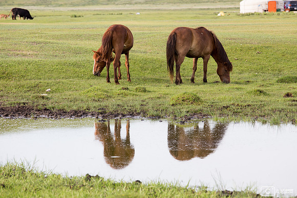 Reflets