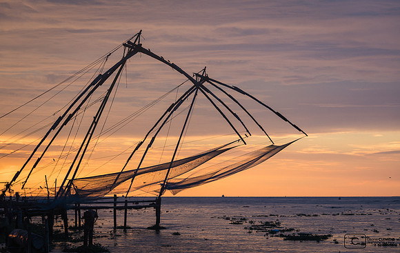 Pêche au carrelet à Cochi