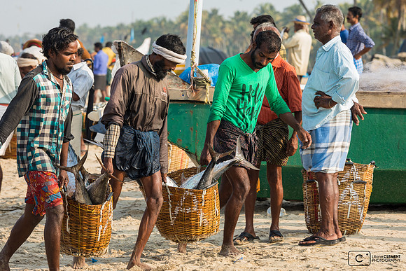 Pêche au chalut,  Mararikulam