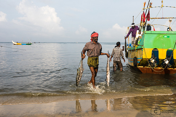 Pêche au chalut,  Mararikulam