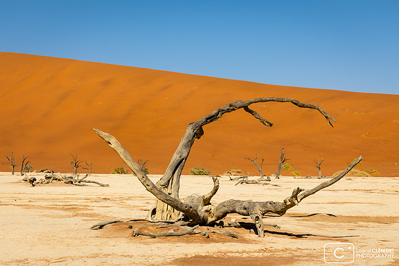 Deadvlei