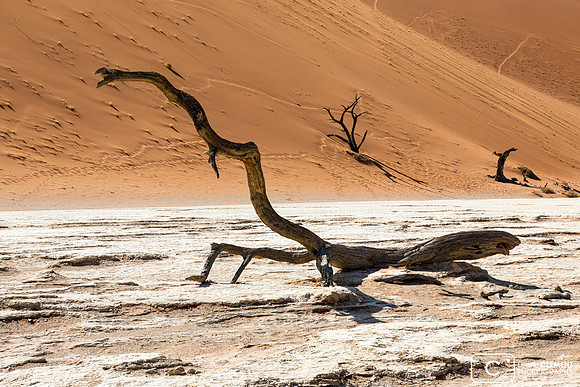 Deadvlei