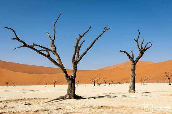 Deadvlei