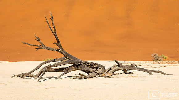 Deadvlei