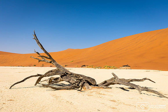 Deadvlei