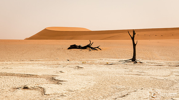 Deadvlei