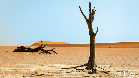 Deadvlei
