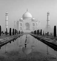 Le Taj Mahal se reflétant dans le plan d'eau