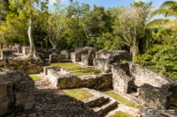Calakmul, 6750 structures y ont été identifiées
