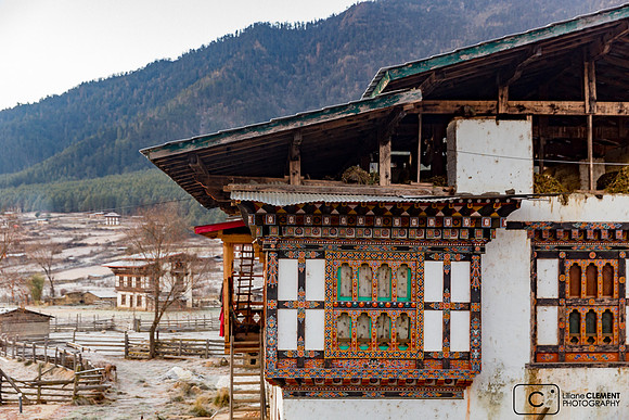 Phobjikha: la vallée des grues à col noir