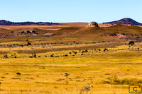 Paysage du Grand Sud