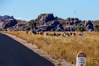 Paysage du Grand Sud