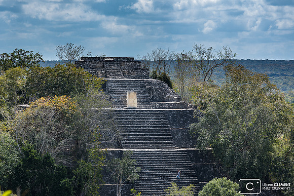 Calakmul, la grande pyramide