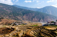 Vallée de Punakha