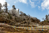 Col de Yotongla vers Bumthang